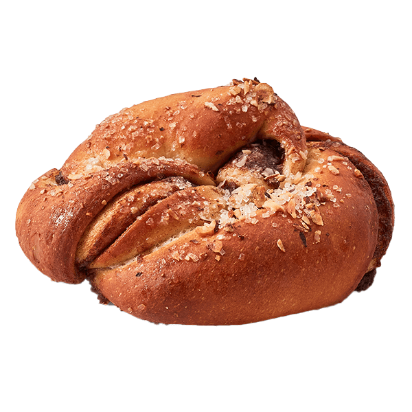 Twisted Cinnamon Bun