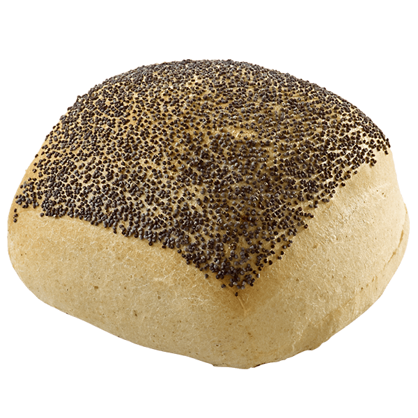 Square Roll  XL